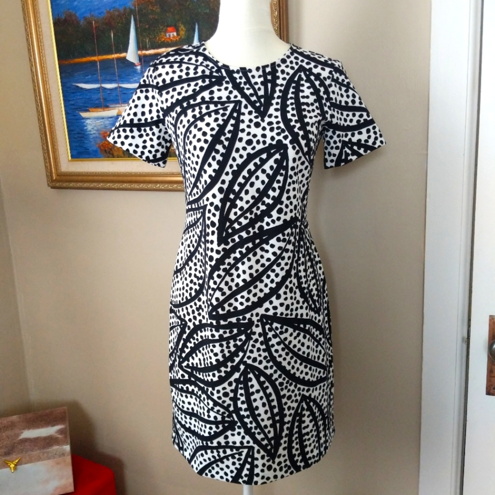 🖤🤍 Ann Taylor Polka dot Leaf dress